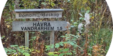 20220921_135331 (Aangepast)-modified Emigreren naar Zweden