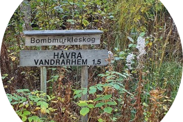 20220921_135331 (Aangepast)-modified Emigreren naar Zweden