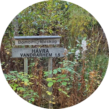 Emigreren naar Zweden