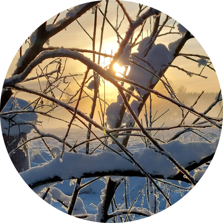 Blog emigreren met kinderen naar Zweden