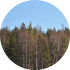 Hovra Vandrarhem