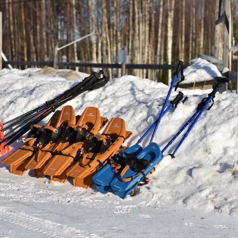 snowshoes snowshoes