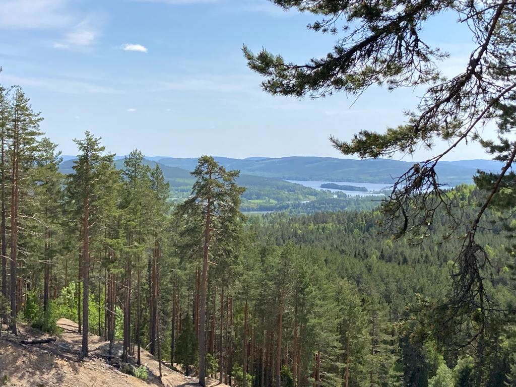 Natuur in Zweden